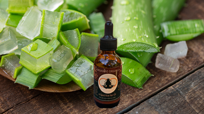 Infused Aloe Hair Oil